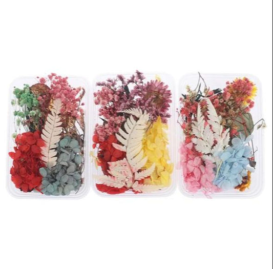 THREADSCART | High Quality Mix Beautiful Pure Dried Flowers Natural Floral for Art Craft Scrapbooking Resin