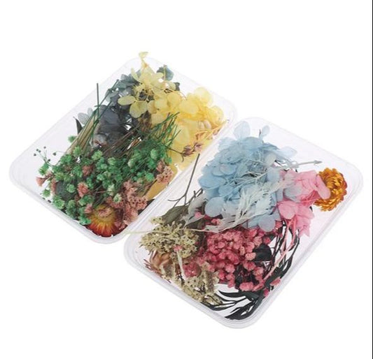 THREADSCART | High Quality Mix Beautiful Pure Dried Flowers Natural Floral for Art Craft Scrapbooking Resin