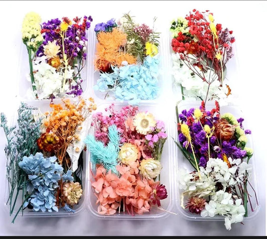 Dry Flowers for Resin Art Natural Dried Pressed Real Flowers Preserved Materials Epoxy Resin Candles DIY Floral Materials Homemade Crafts Leaves Set Flowers