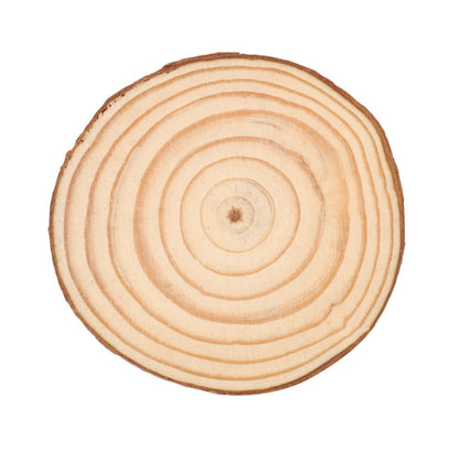 Wooden Slices Round Natural Wooden Log Slice Discs Logs For DIY Craft Wedding Decor ( 10 Inch )