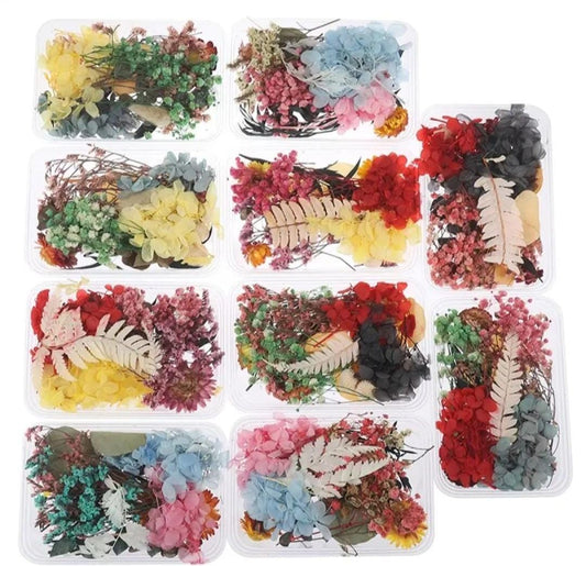 THREADSCART | 1 Random box of Mix dried flowers for resin art |Mix Beautiful Real Dried Flowers Natural Floral for Art Craft Scrapbooking Resin |Random box of dried flowers | ART CART (RWP)
